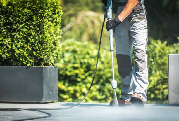 Best House Exterior Washing  in Fruitland Park, FL