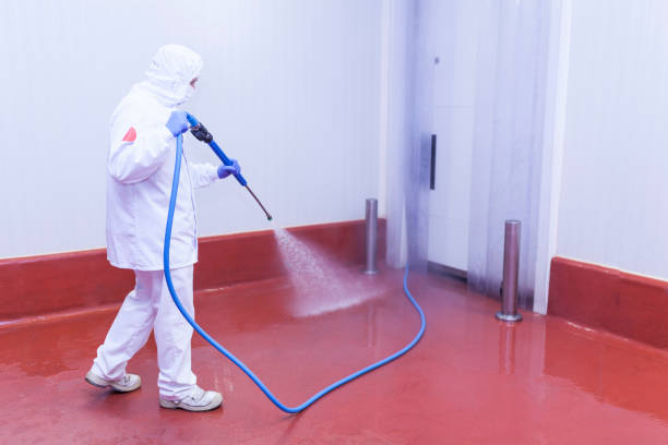 Best Playground Equipment Cleaning  in Fruitland Park, FL