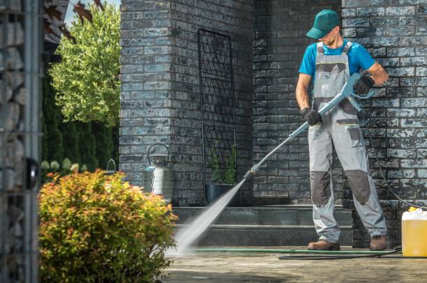 Best Gutter Cleaning  in Fruitland Park, FL